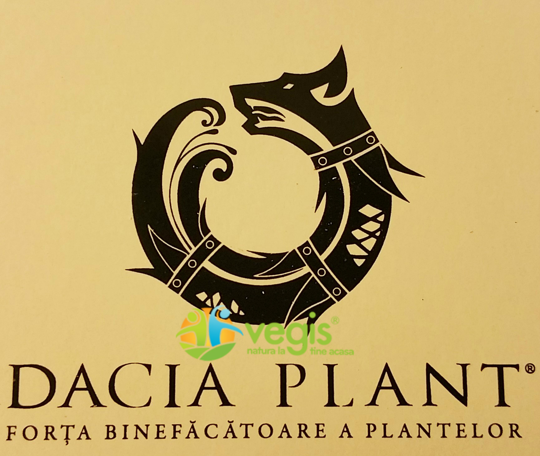 Dacia Plant rebranding
