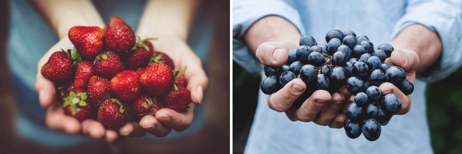 sucuri naturale de fructe