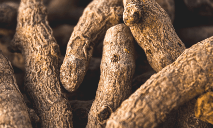 Ce este extractul de curcumin? Beneficii si utilizari