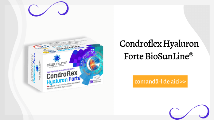 Condroflex Hyaluron Forte BioSunLine