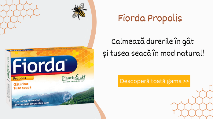 gama Fiorda