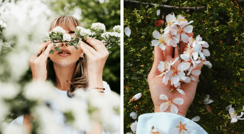 vegis.ro apicole păstură