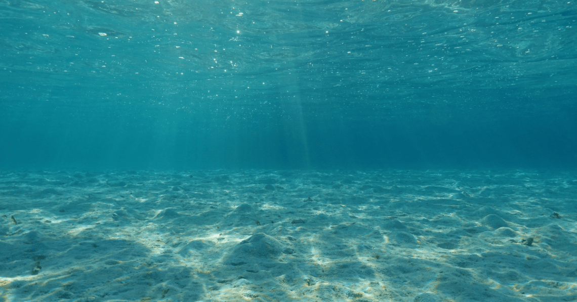 plasma marina beneficii