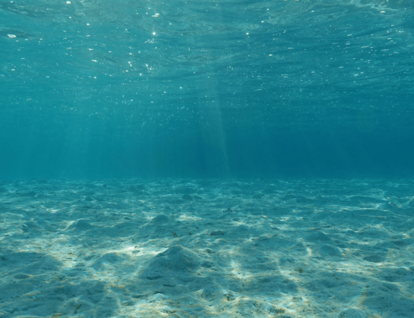 plasma marina beneficii