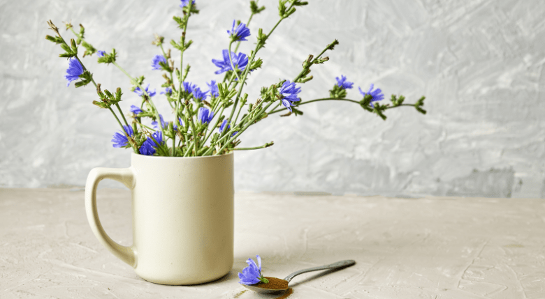 sănătate digestivă cu cicoare