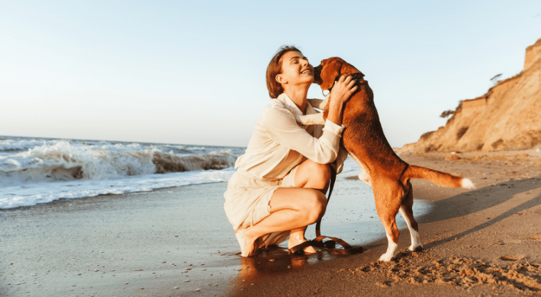 unt Ghee efect antiinflamator