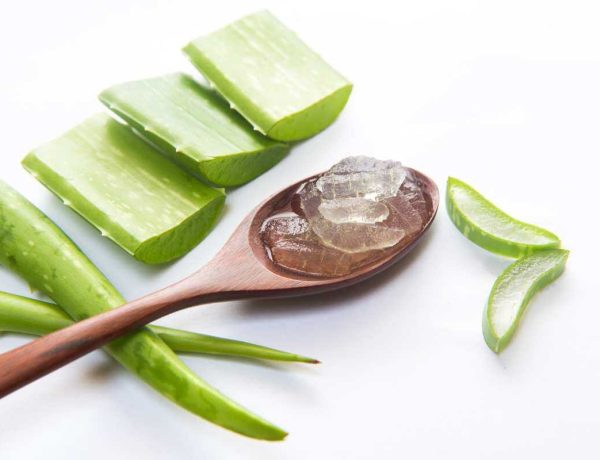 Poza de cover. Ce beneficii are aloe vera_Aloe vera, lingura cu gel de aloe vera