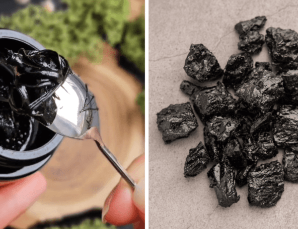 rășina de Shilajit