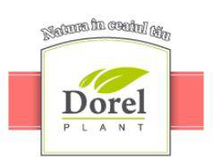 DOREL PLANT